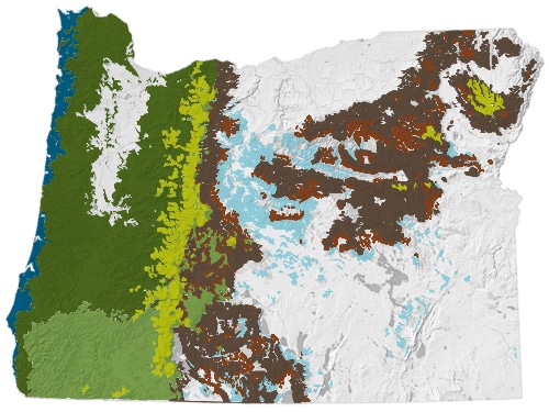 old growth forest oregon map Forest Types Map Oregonforests old growth forest oregon map