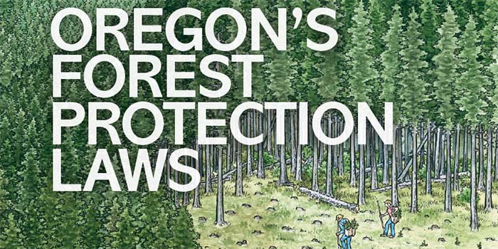 Oregon’s Forest Protection Laws are a-Changin’ | OregonForests