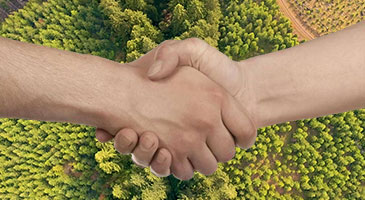 Private Forest Accord | OregonForests