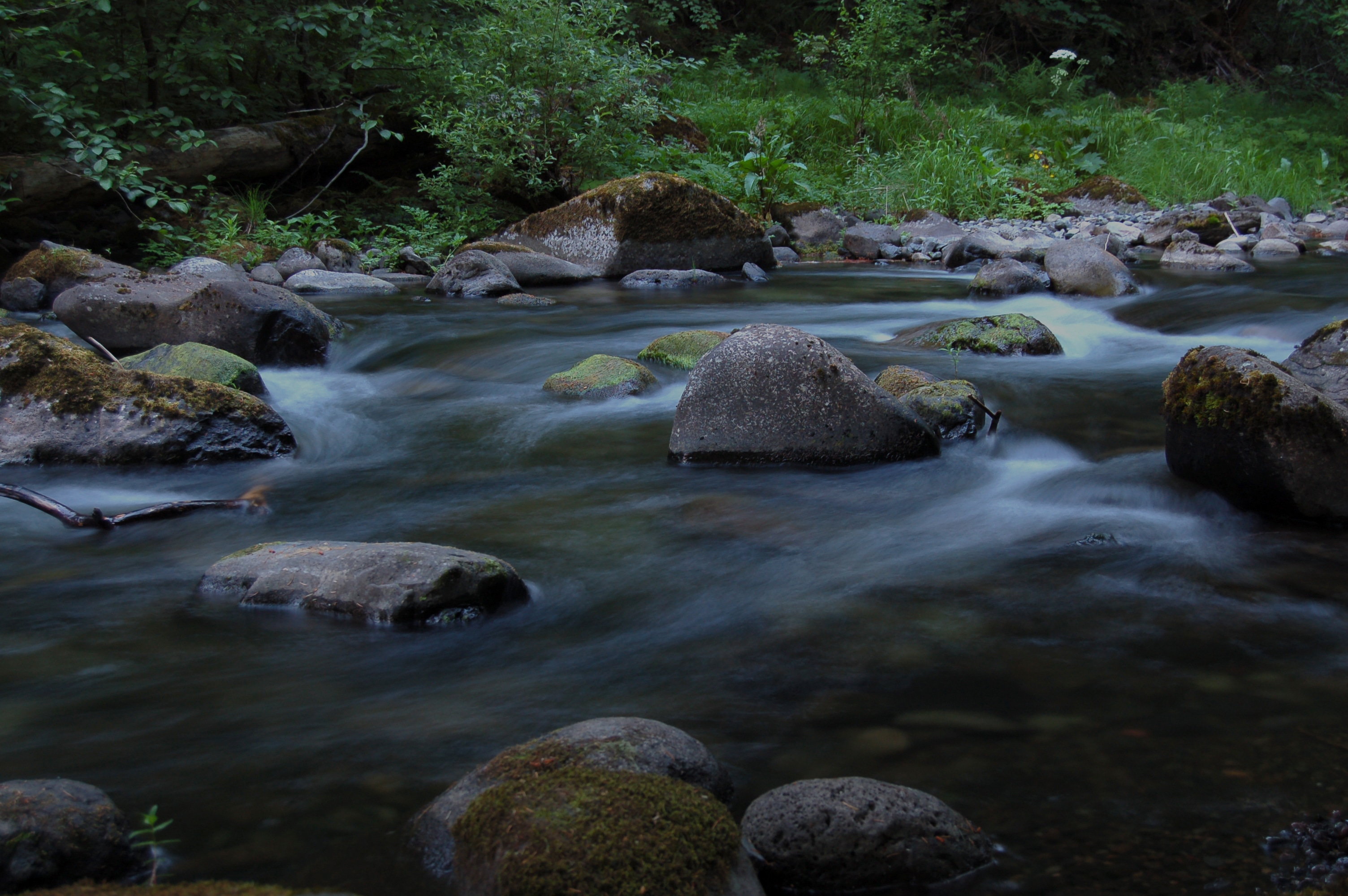 a stream