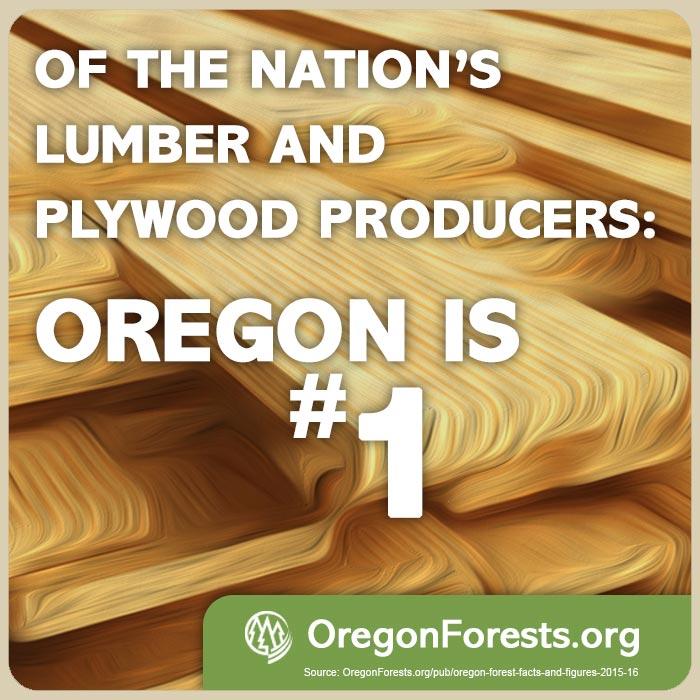 Meme Lumber Leader