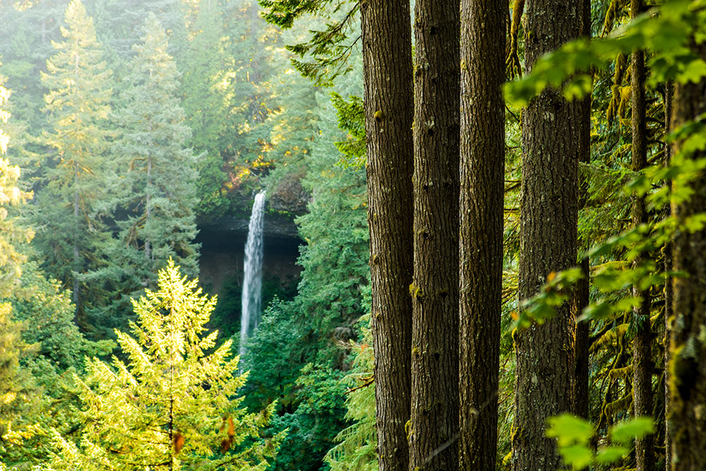 Upper North Falls