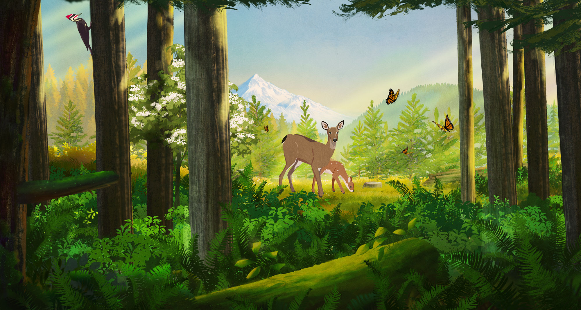 Deer, pileated woodpecker and painted lady butterfly illustration