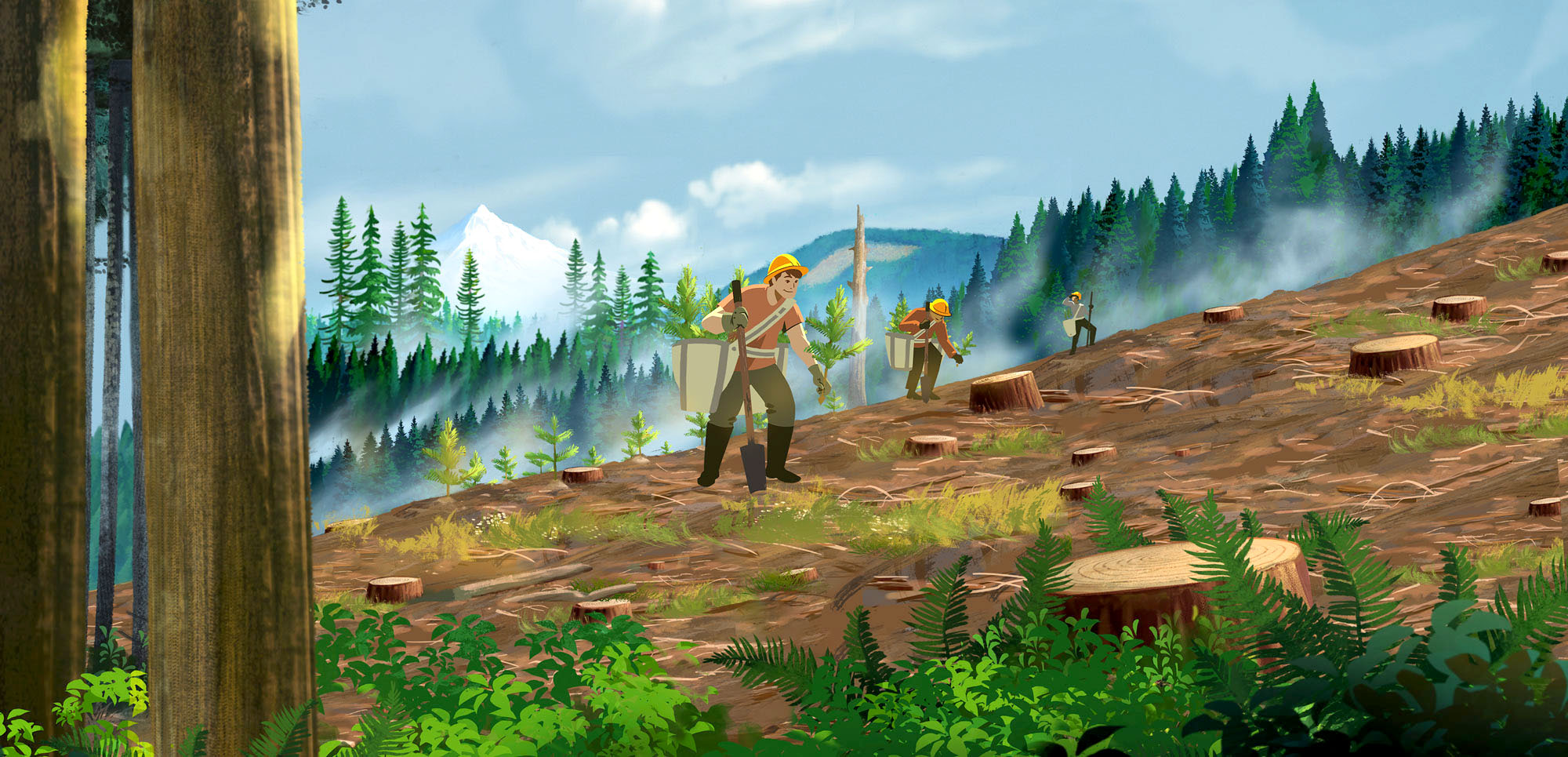 Illustration of forest tree planters on a hillside