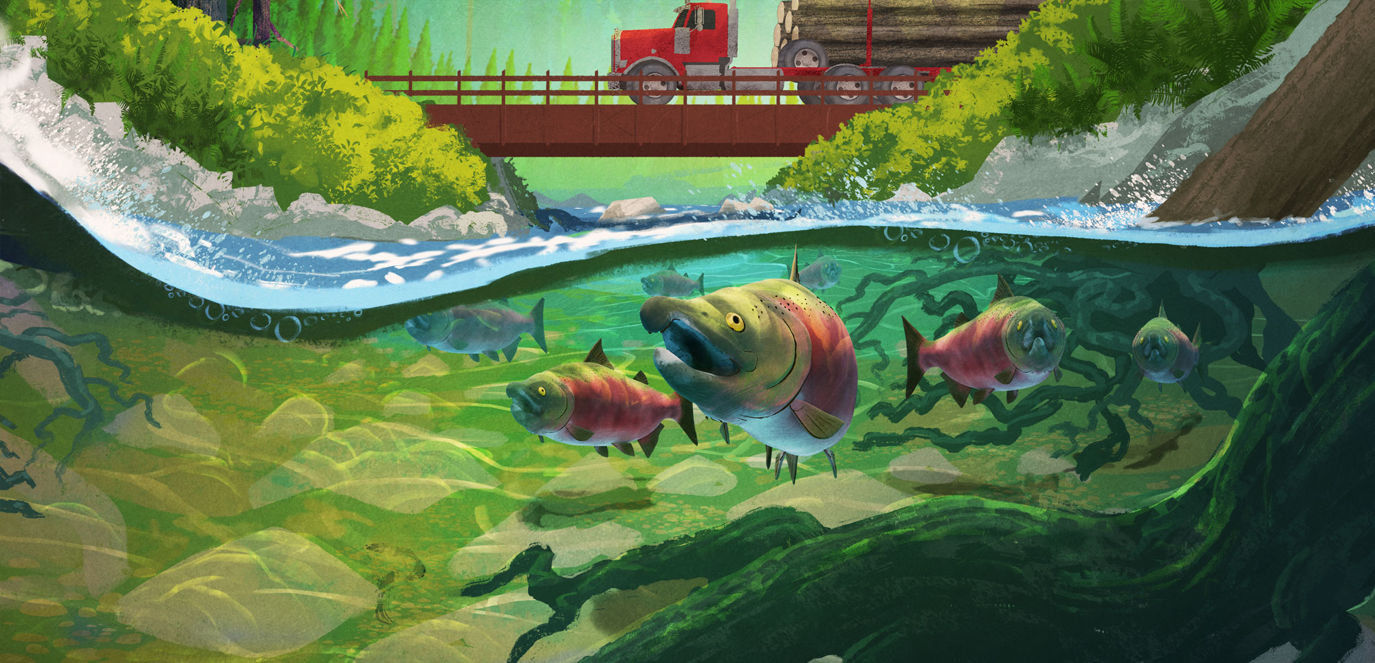 Salmon and log truck illustration represent the compromise of the Private Forest Accord