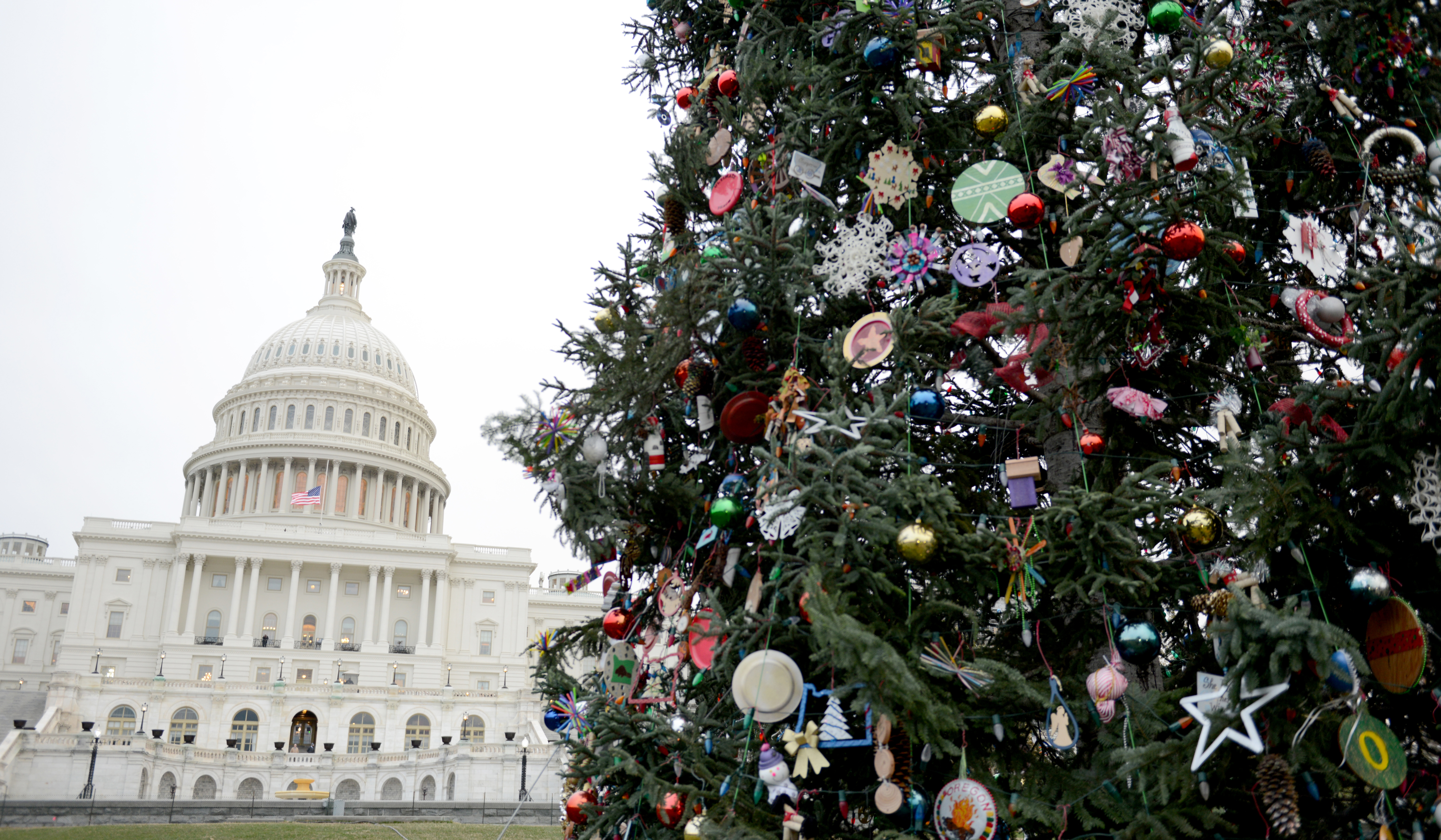 Close-up of ornaments on the Capitol Tree