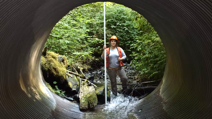 Forest engineer standing in a culvert