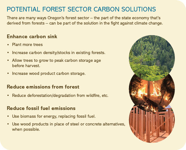 Carbon-solutions-2021