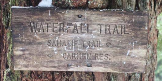 Wooden sign on tree that reads "Waterfall Trail."