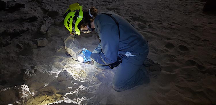 Researcher wearing a helmet and mask examines the ground of a cave with a flashlight.