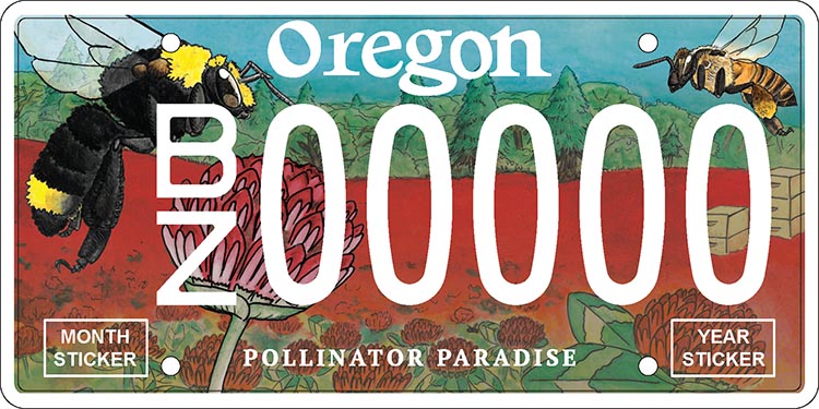 Custom Oregon license plate with bees on it.