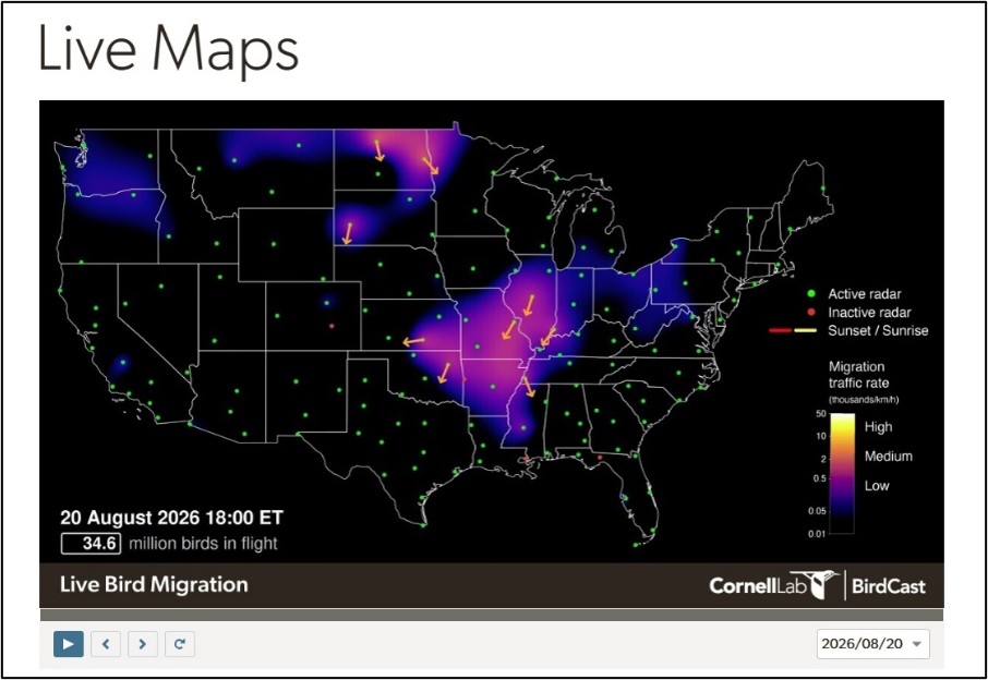 Map of the United States showing bird migration traffic.