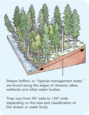 riparian management buffer diagram