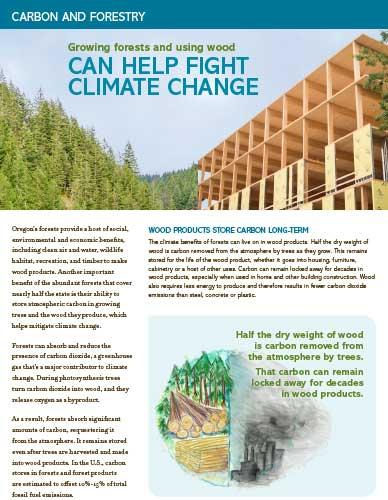 Carbon-topicsheet-26-cover