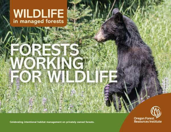 Forests Working For Wildlife Cover v2