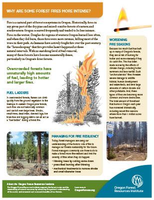 Cover of the OFRI fact sheet on forest fire