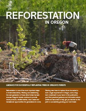 Reforestation in Oregon cover