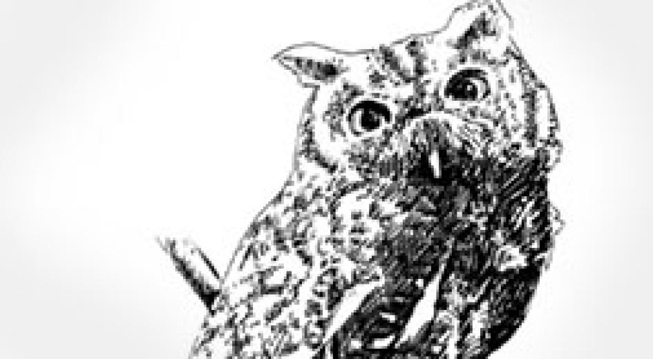Forest Essays: Grades 4-5