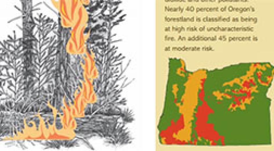 Fact Sheet: Fire