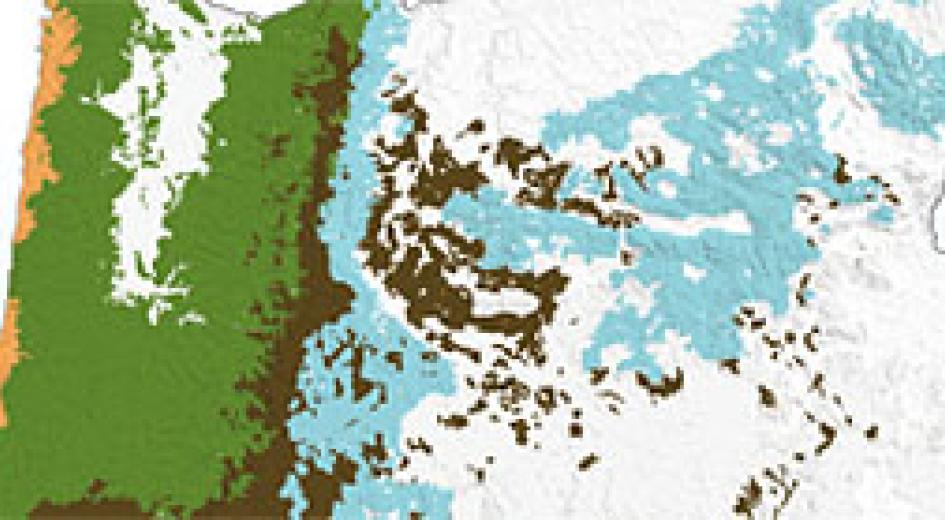 Fact Sheet: Forests