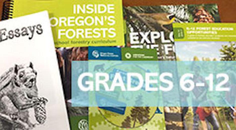 A Teacher's Sampler Packet: Grades 6-12