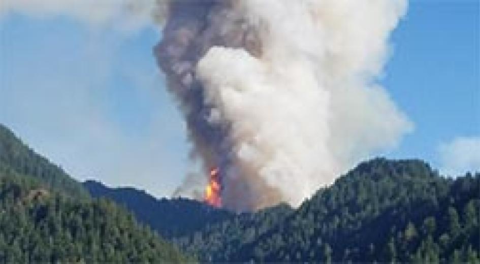 Smoke rises from the WIllamette National Forest