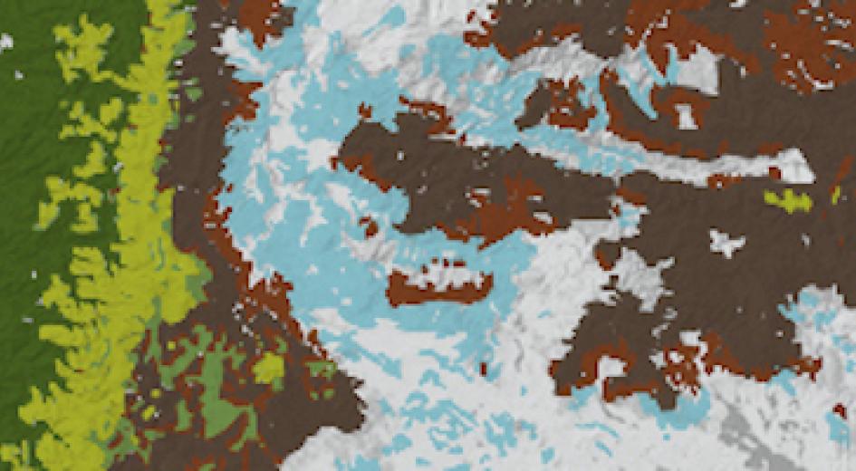 a forest map