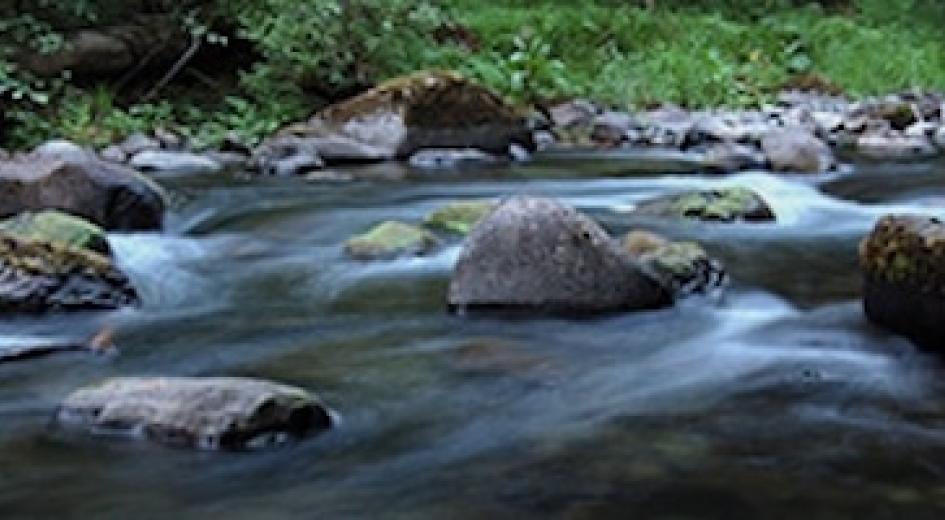 a stream