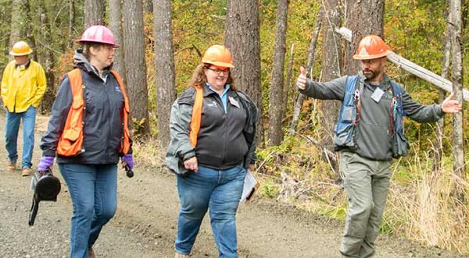 three foresters on a road
