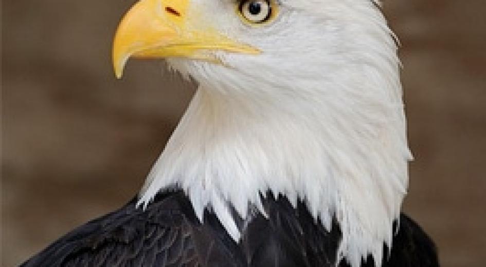 "