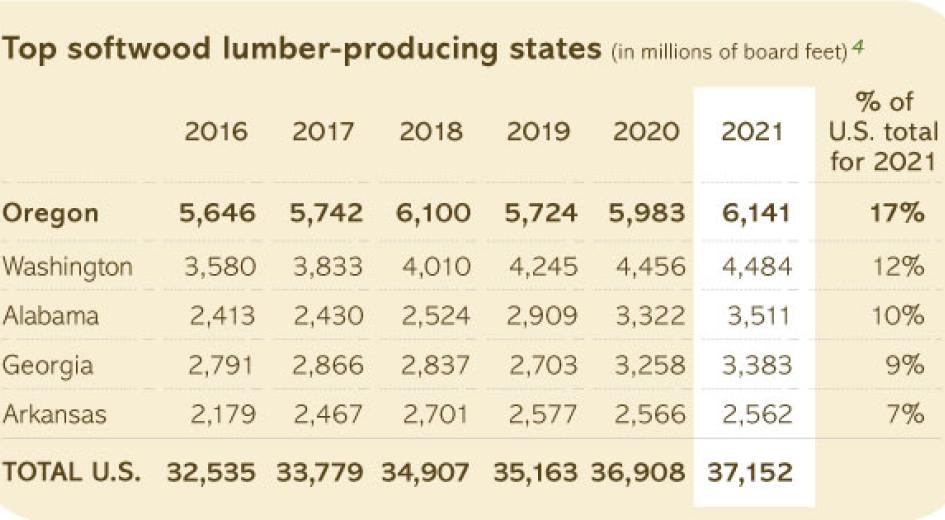 Softwood leader