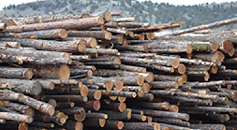 A stack of trees