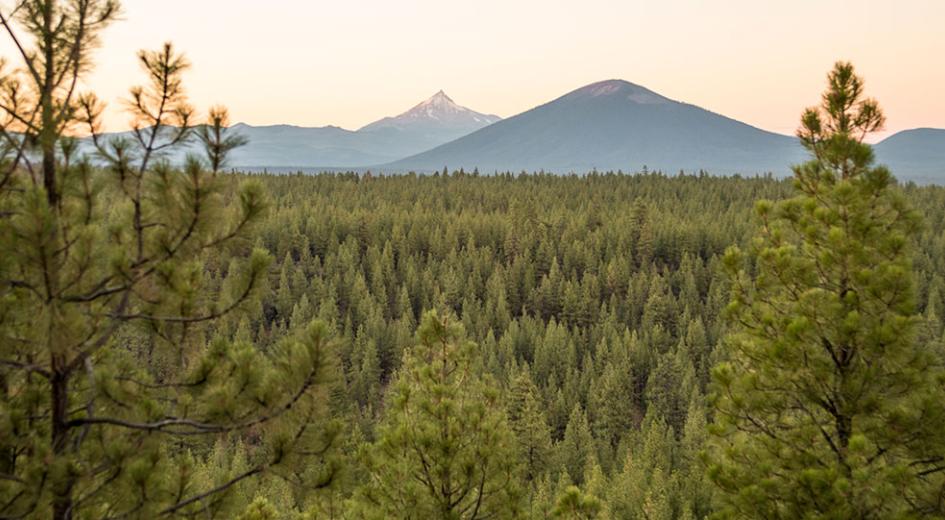Black Butte