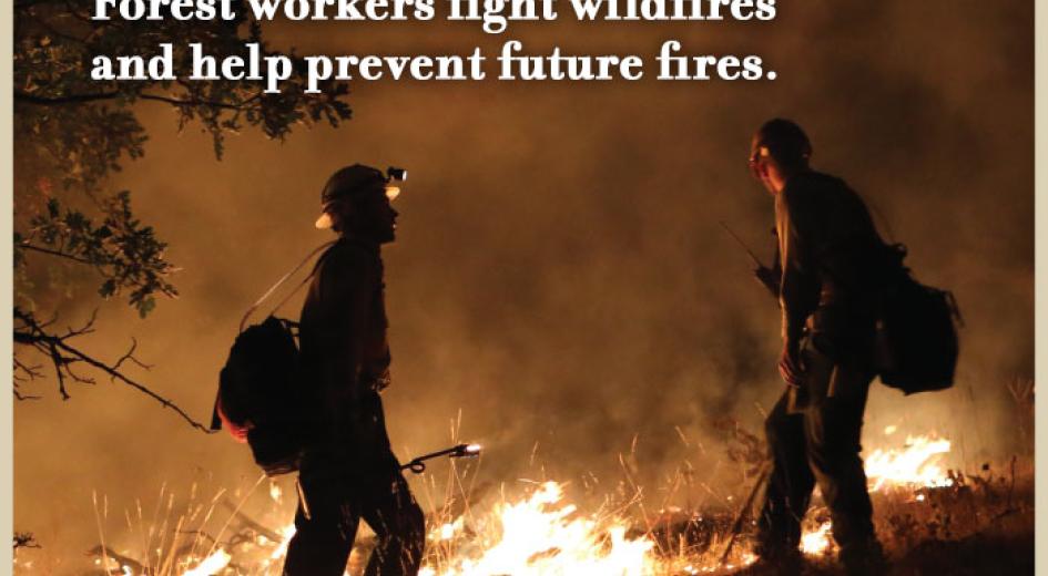 We FIGHT FIRES