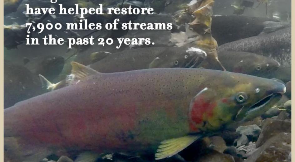We CONSERVE HABITAT
