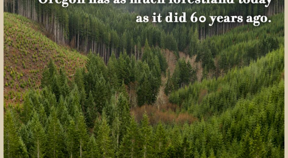 We are SUSTAINABLE