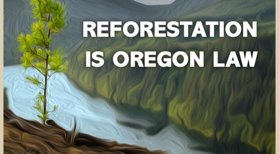 Meme Reforestation