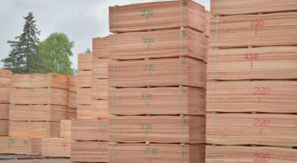 Plywood