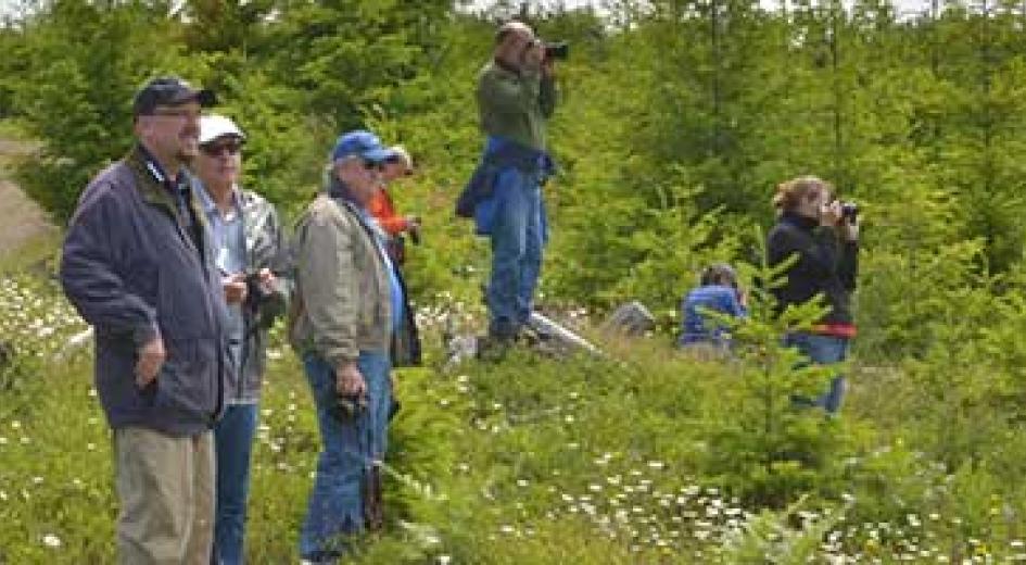 people in forest