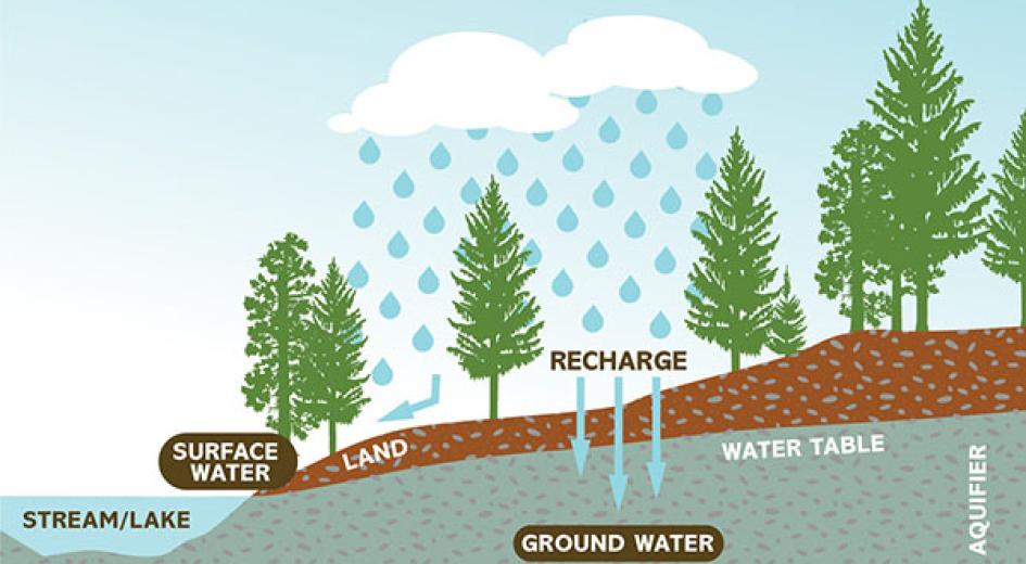 Water table diagram