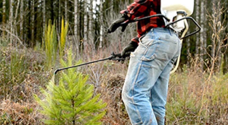 backpack sprayer