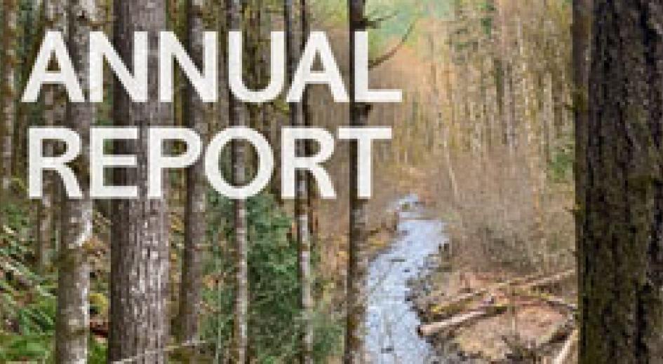 annual report