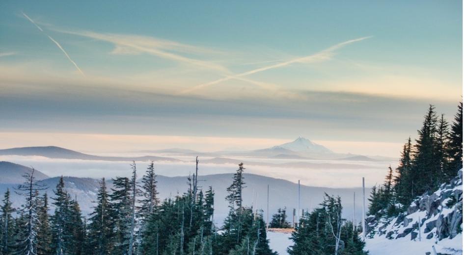 snowy landscape