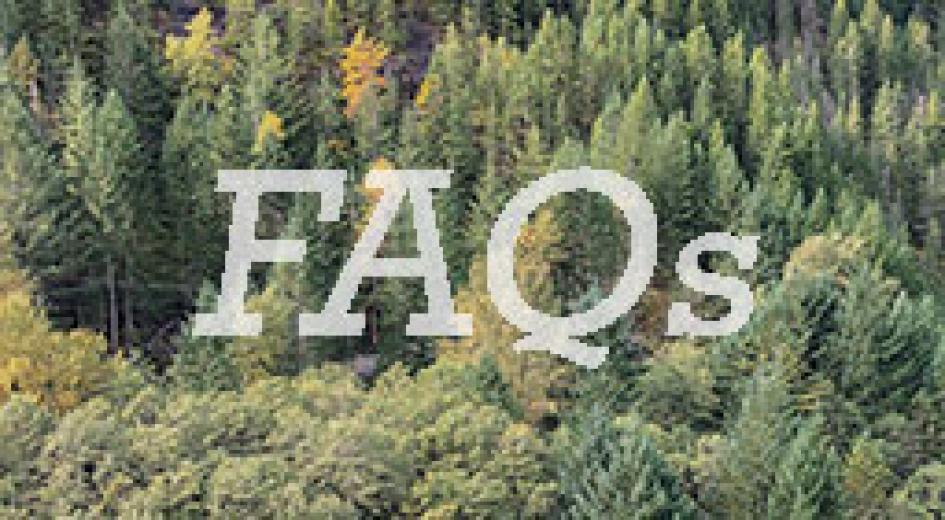FAQ-card