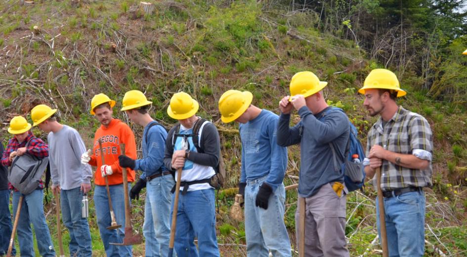 Training crew for forest fire team