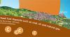 Carbon Cycle Poster