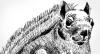 Forest Essays: Grades 2-3