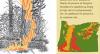 Fact Sheet: Fire