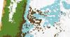 Fact Sheet: Forests