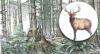 Fact Sheet: Wildlife